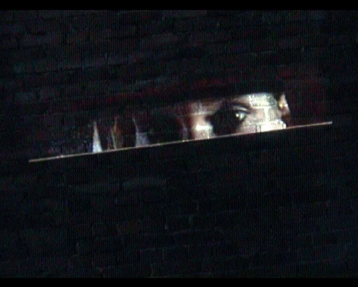 Video Aus den Augen in die Augen" mit dem gleichnamigen Gedicht von Josef Hrub&yacute; (CZ)